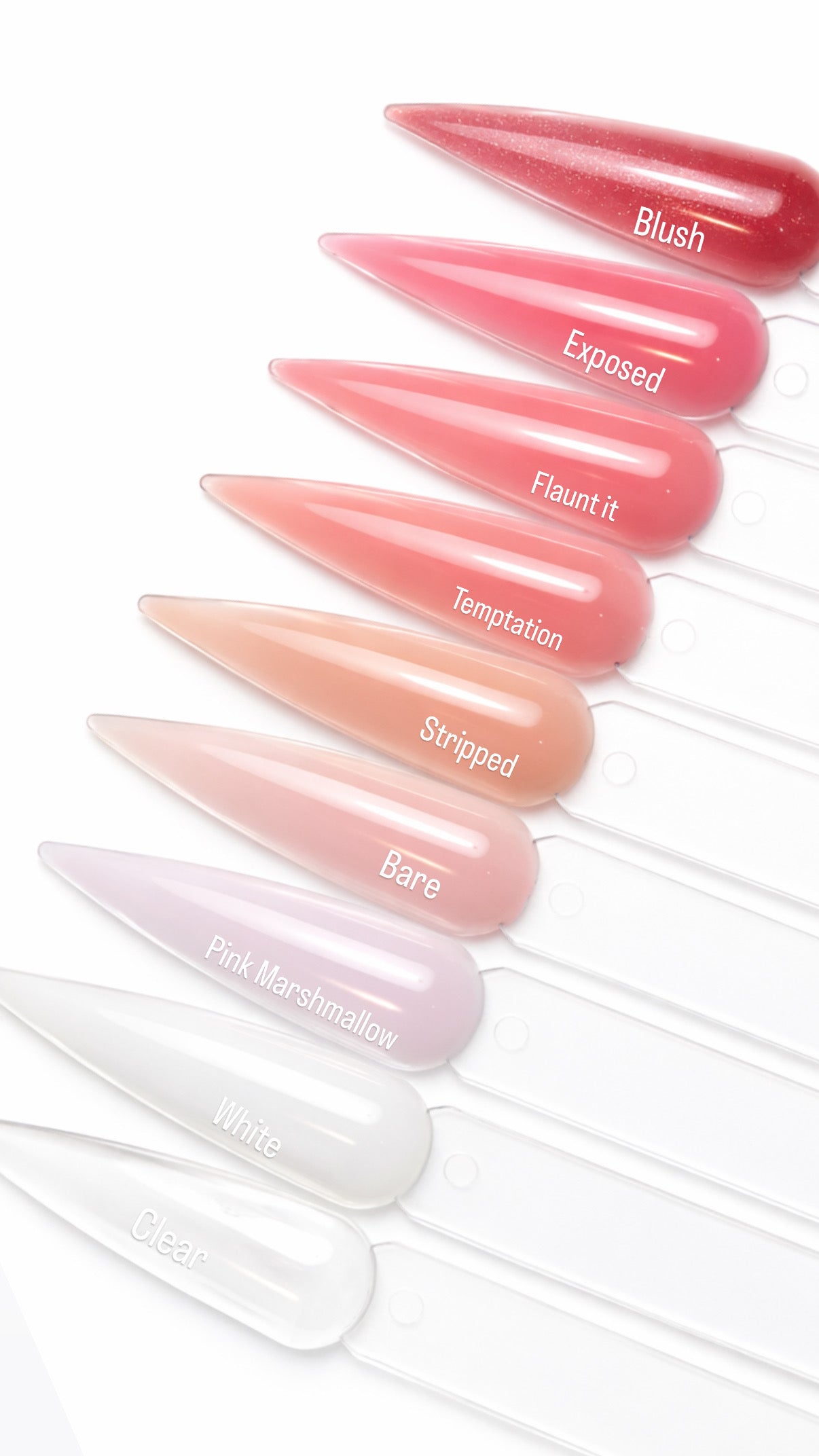 Builder Gel - Exposed